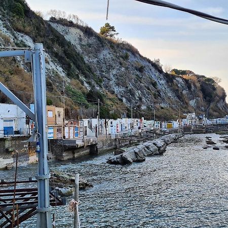La Pinetina Daire Ancona Dış mekan fotoğraf