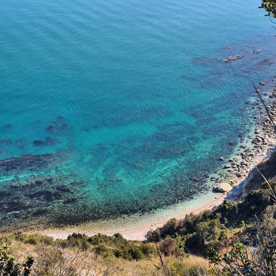 La Pinetina Daire Ancona Dış mekan fotoğraf