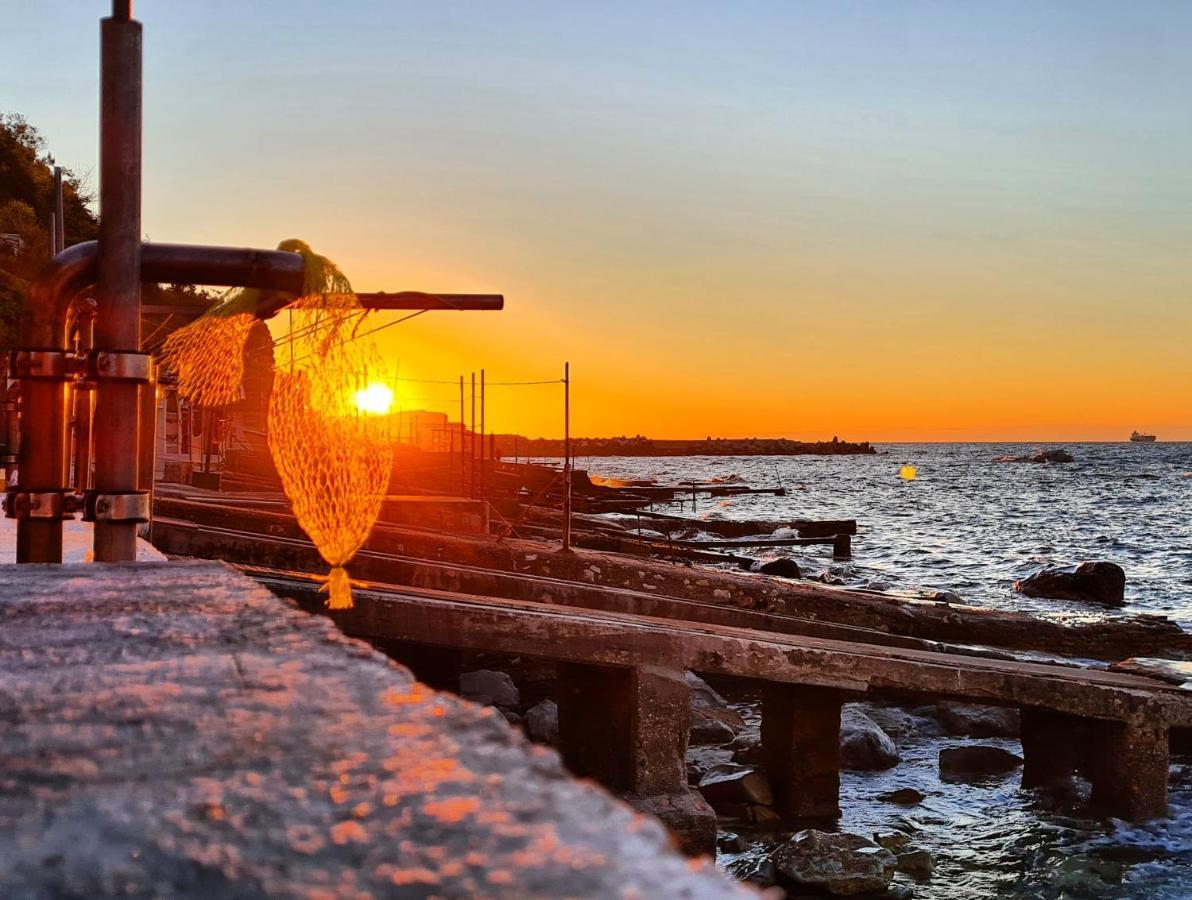 La Pinetina Daire Ancona Dış mekan fotoğraf
